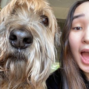 Meet your Posher, Zarina